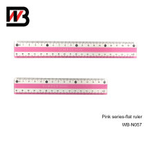 PS Stationery Ruler for Office Supply and School